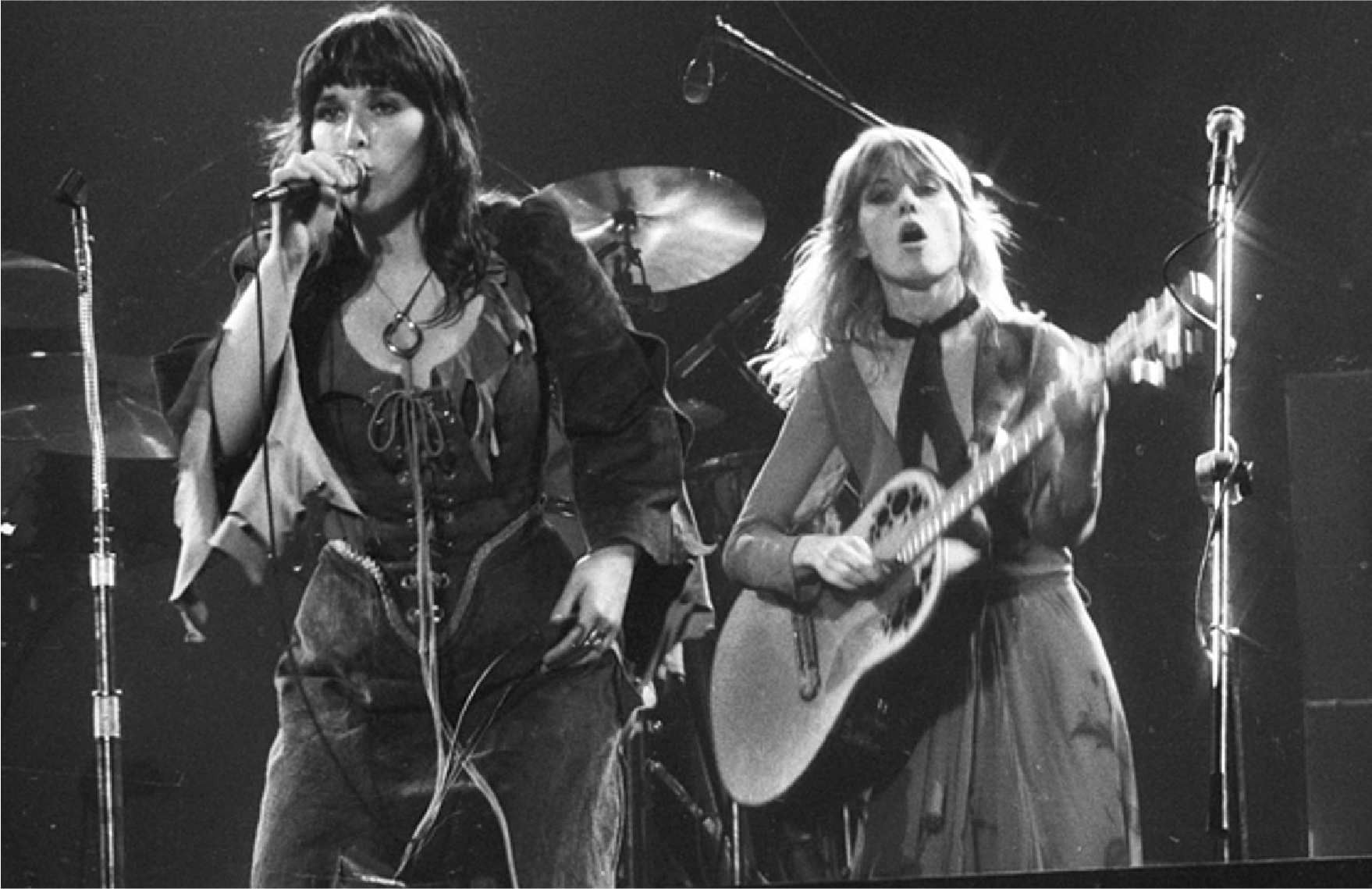 Ann and Nancy Wilson performing together on stage
