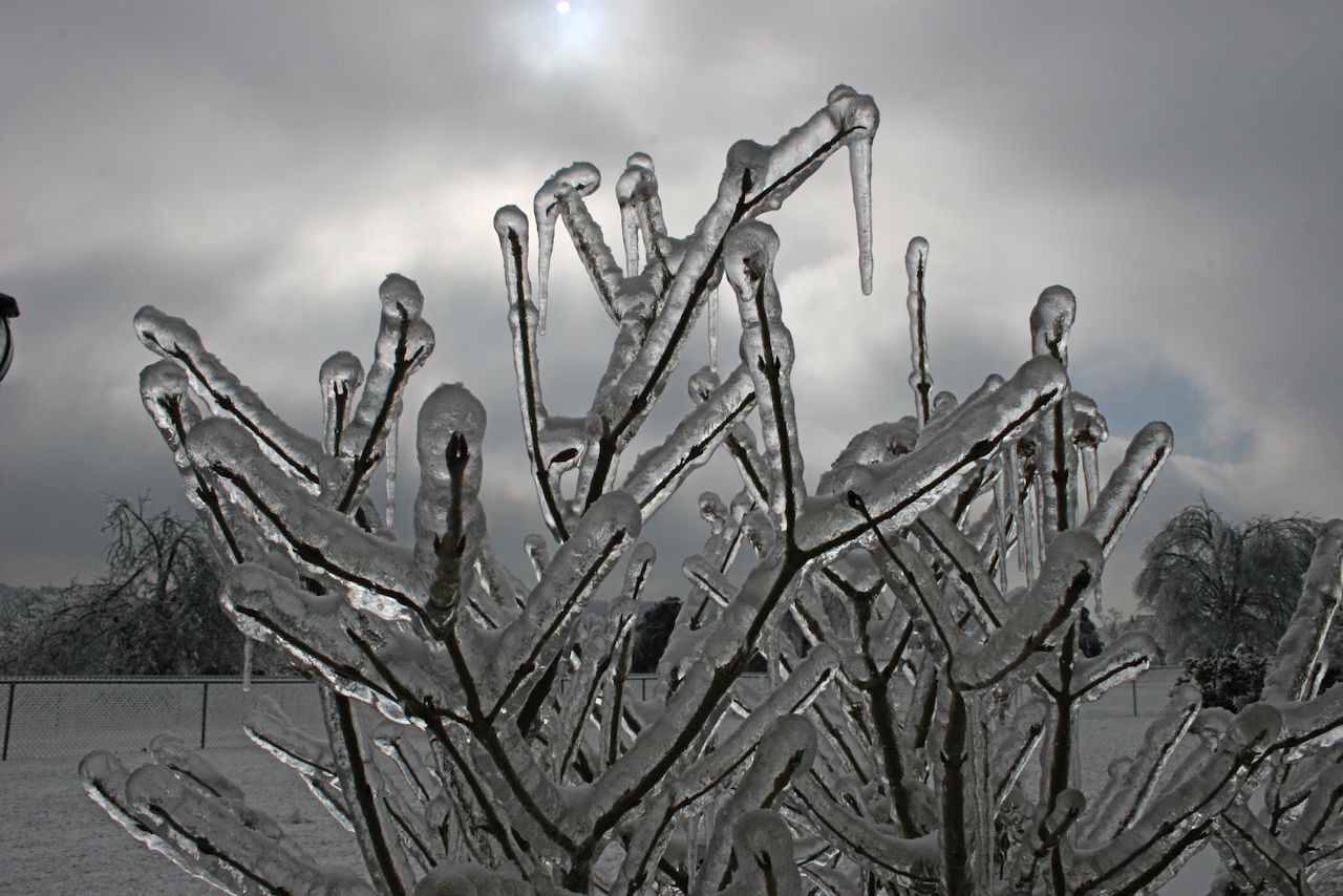 The infamous 2009 ice storm that hit Northwest Arkansas