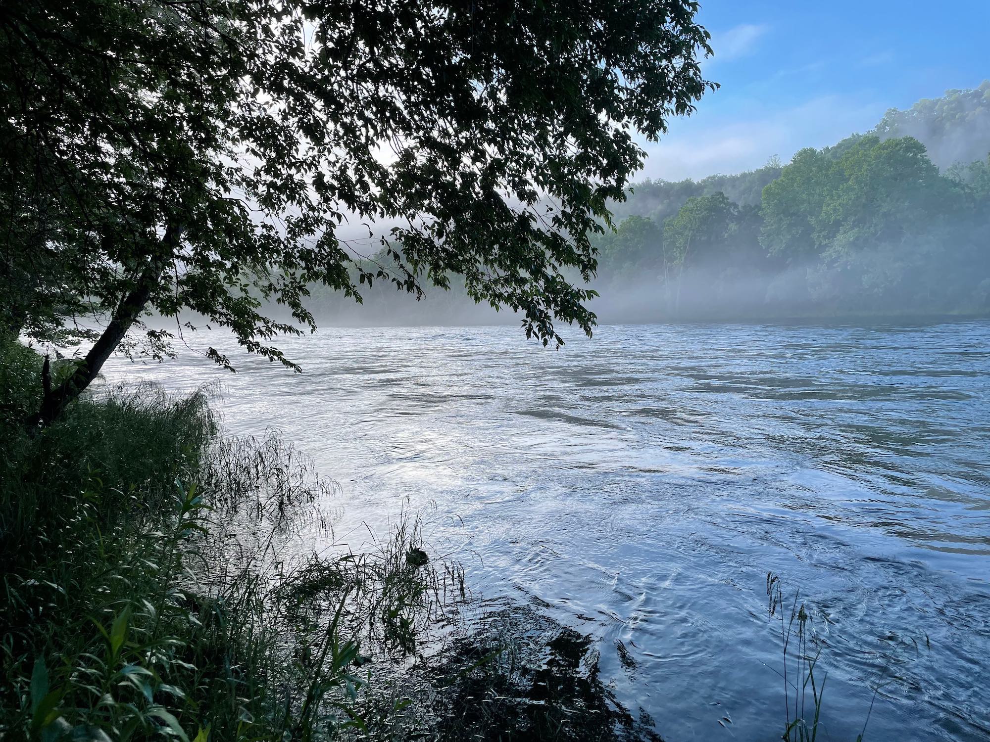 Fishing the White River